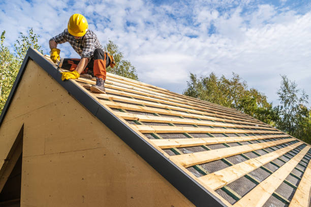Best Roof Gutter Cleaning  in Tioga Terrace, NY